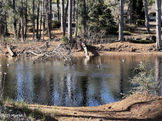 water view