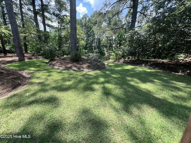 6104 Falcon Dr, New Bern, NC 28560 - view of green lawn