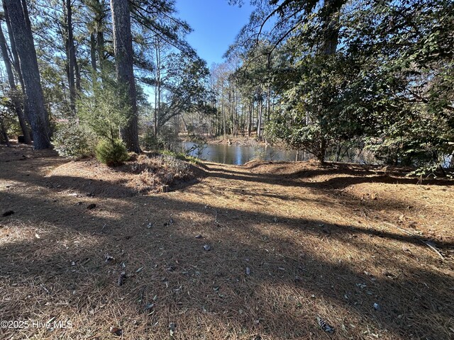 6104 Falcon Dr, New Bern, NC 28560 - view of yard