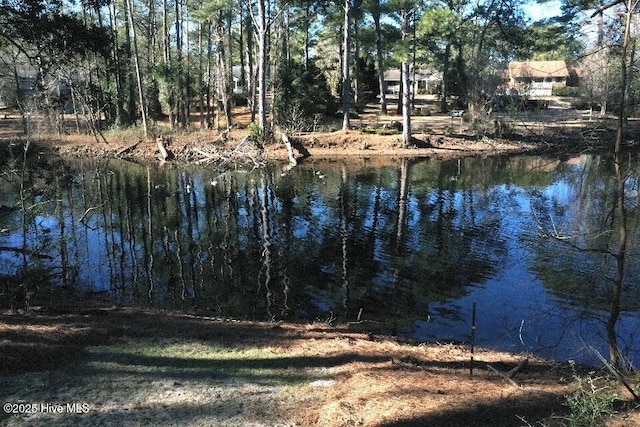 6104 Falcon Dr, New Bern, NC 28560 - water view