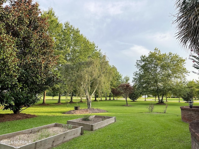 view of home's community featuring a yard