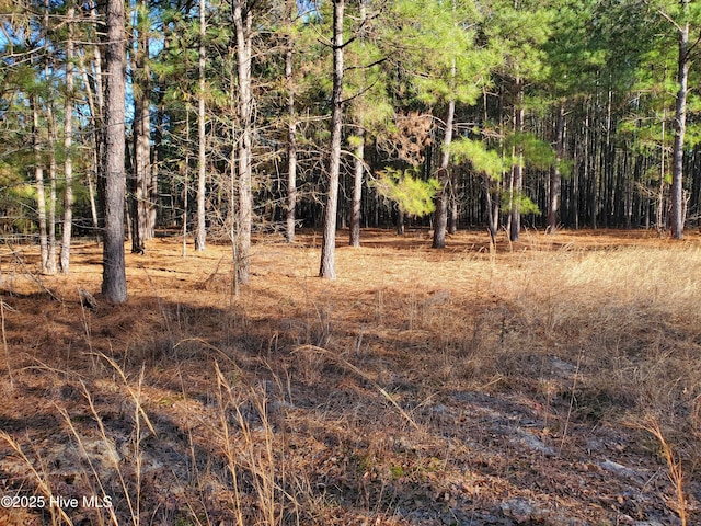 Listing photo 3 for TBD Crestline Rd, Laurinburg NC 28352