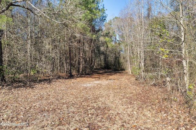 view of local wilderness