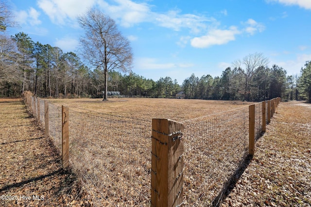 view of yard with a rural view