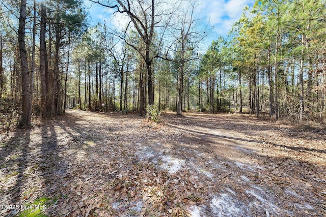 view of local wilderness with a view of trees