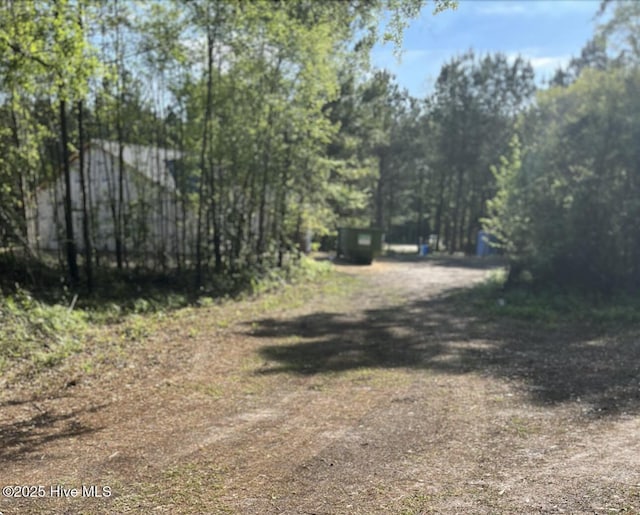 view of yard with driveway
