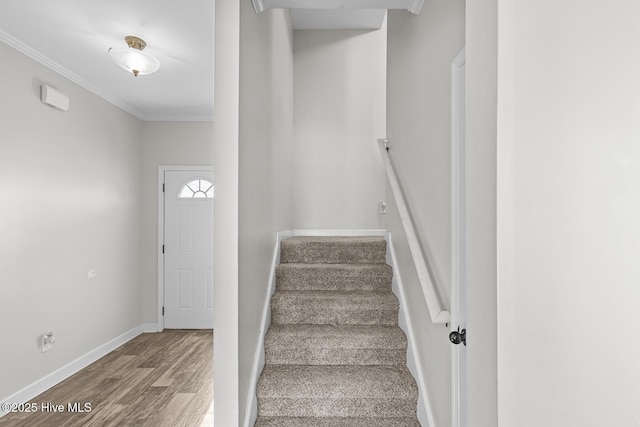 staircase featuring crown molding and wood-type flooring