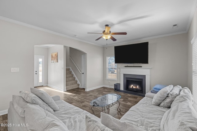 living room with ceiling fan, dark hardwood / wood-style flooring, and crown molding