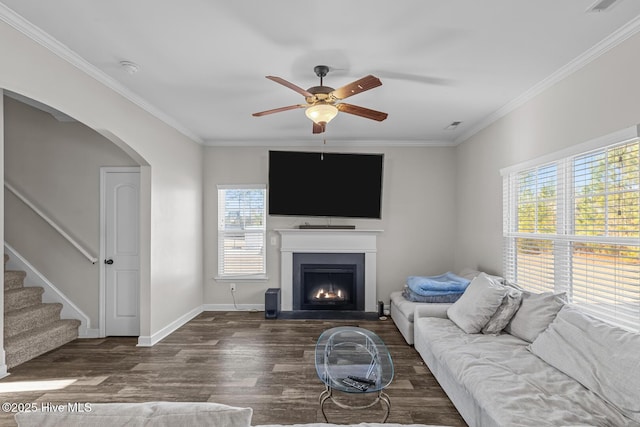 living room featuring crown molding, a wealth of natural light, and dark hardwood / wood-style flooring