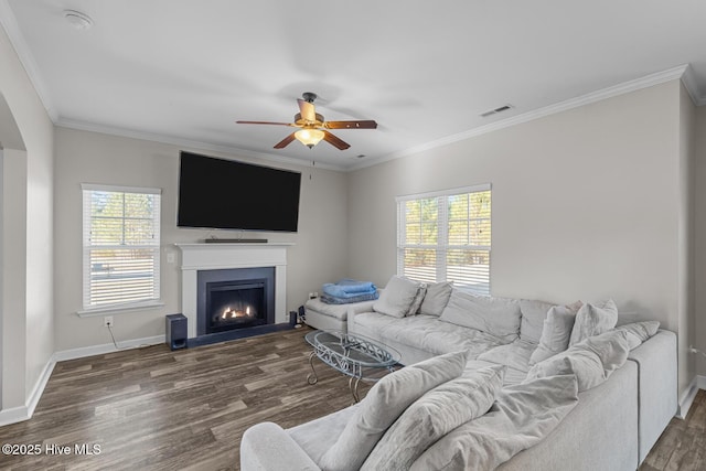 living room featuring ceiling fan, ornamental molding, plenty of natural light, and dark wood-type flooring