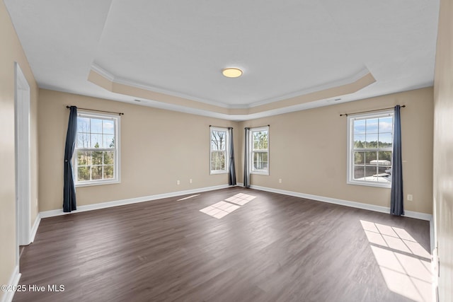 spare room with dark hardwood / wood-style flooring, plenty of natural light, and a raised ceiling