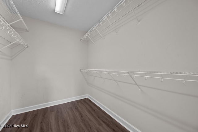 spacious closet featuring dark hardwood / wood-style floors