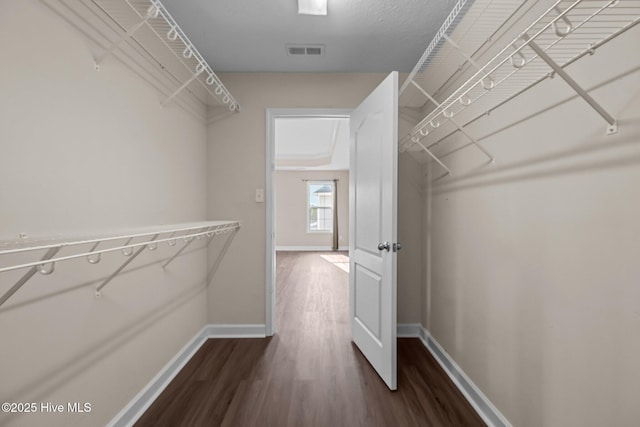 walk in closet featuring dark hardwood / wood-style floors