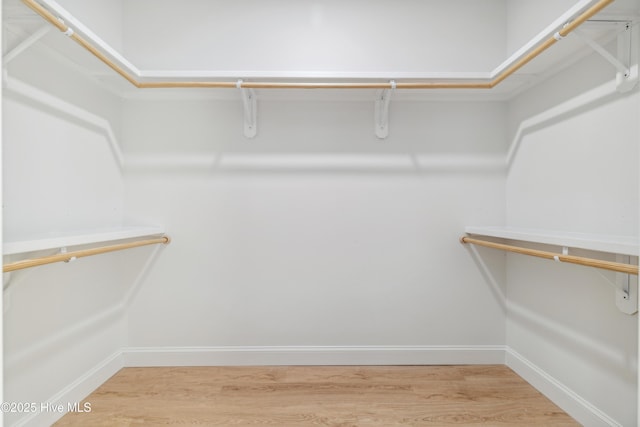 walk in closet with hardwood / wood-style flooring