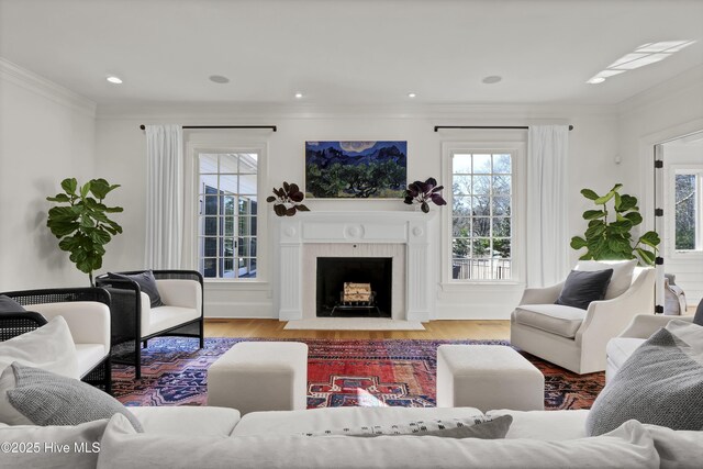 living room featuring ornamental molding, light hardwood / wood-style floors, and plenty of natural light