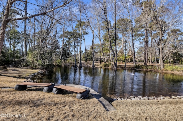 dock area featuring a water view