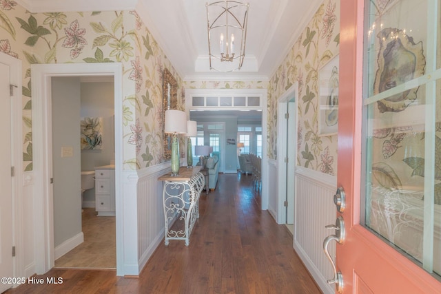 hall with crown molding, an inviting chandelier, and dark hardwood / wood-style flooring