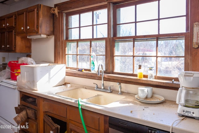 kitchen with sink and dishwasher