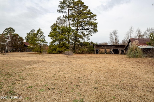 view of yard