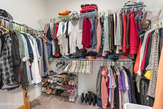 spacious closet featuring carpet floors