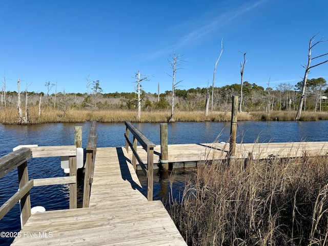 dock area with a water view