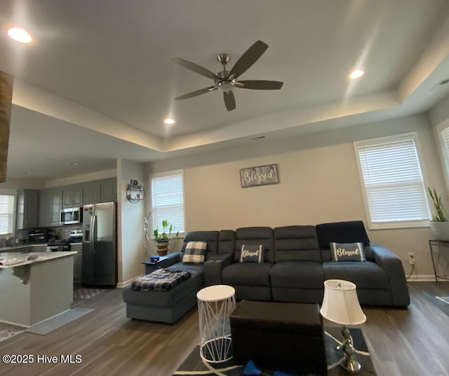 living room featuring ceiling fan, a raised ceiling, and wood-type flooring