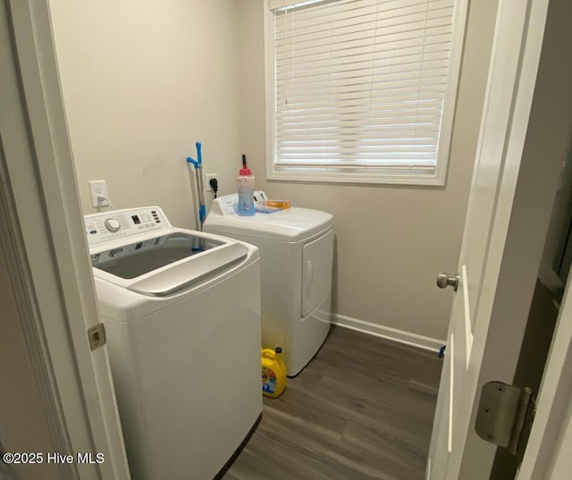 clothes washing area featuring dark wood-type flooring and independent washer and dryer