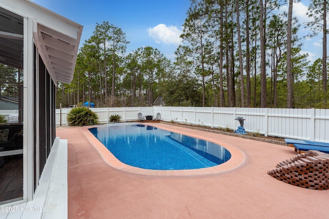 view of pool featuring a patio area