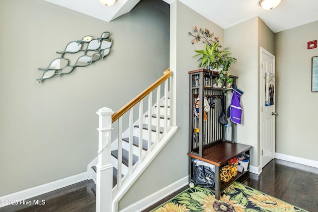 staircase featuring wood-type flooring