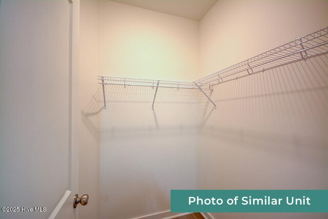 view of walk in closet
