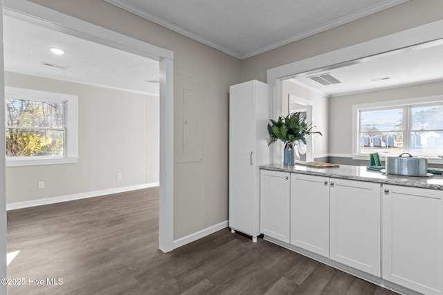 kitchen featuring light stone counters, white cabinets, dark wood-type flooring, and crown molding