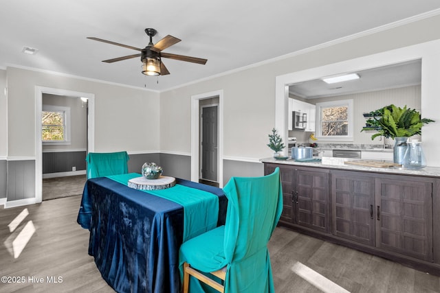 dining room with ceiling fan, ornamental molding, wood-type flooring, and sink