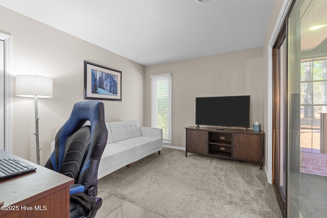 office featuring light colored carpet and a wealth of natural light