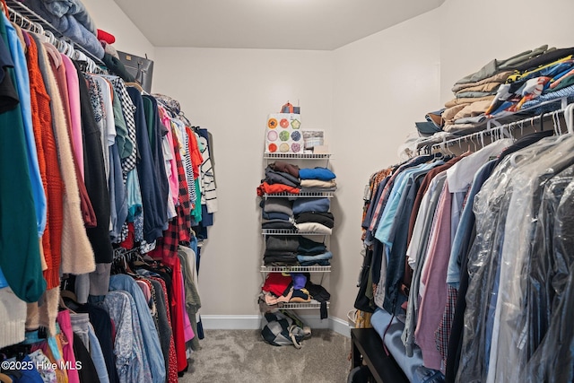 spacious closet featuring carpet flooring