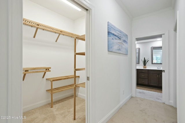 interior space featuring sink and light colored carpet