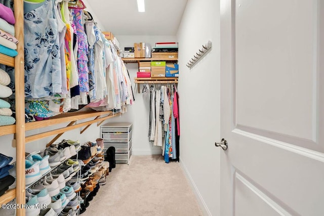 walk in closet featuring carpet flooring