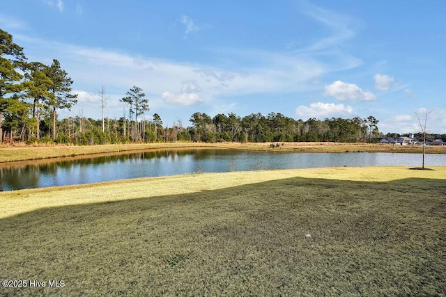 view of water feature