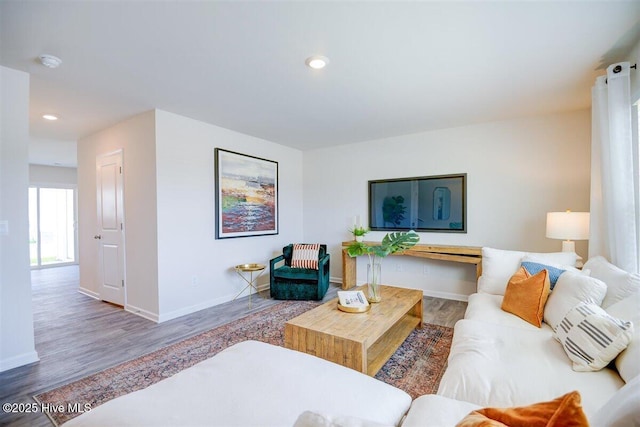 living room with hardwood / wood-style flooring