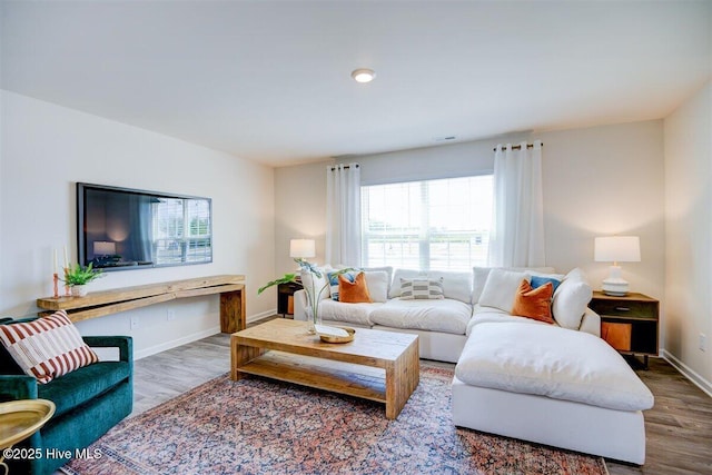 living room with hardwood / wood-style floors