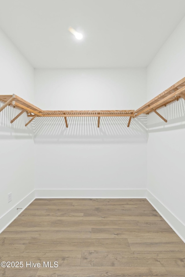 spacious closet featuring hardwood / wood-style flooring