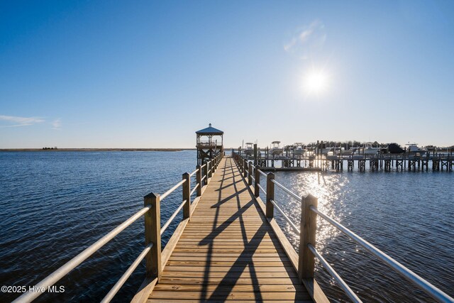 dock area with a water view