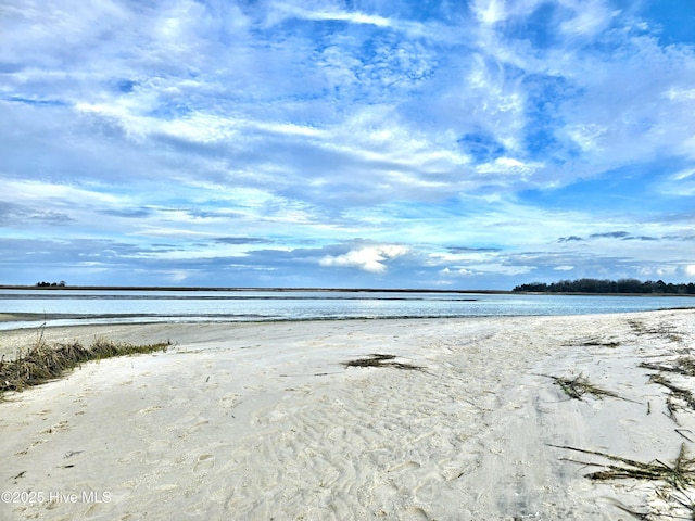 water view featuring a beach view