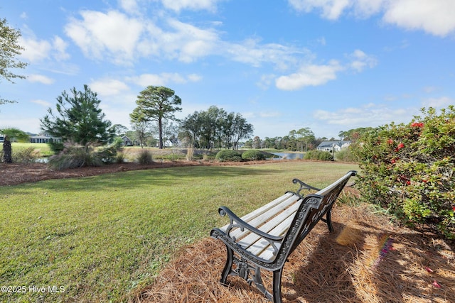 view of home's community with a water view and a yard