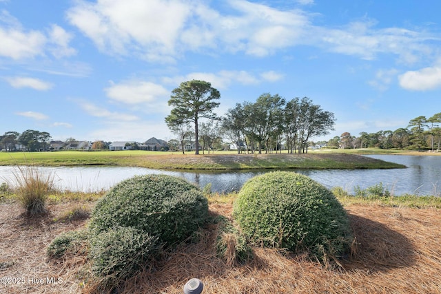 view of water feature