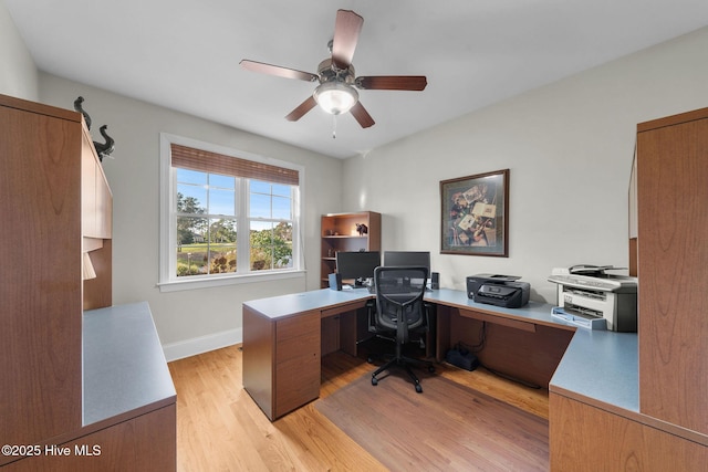 office with ceiling fan and light hardwood / wood-style flooring