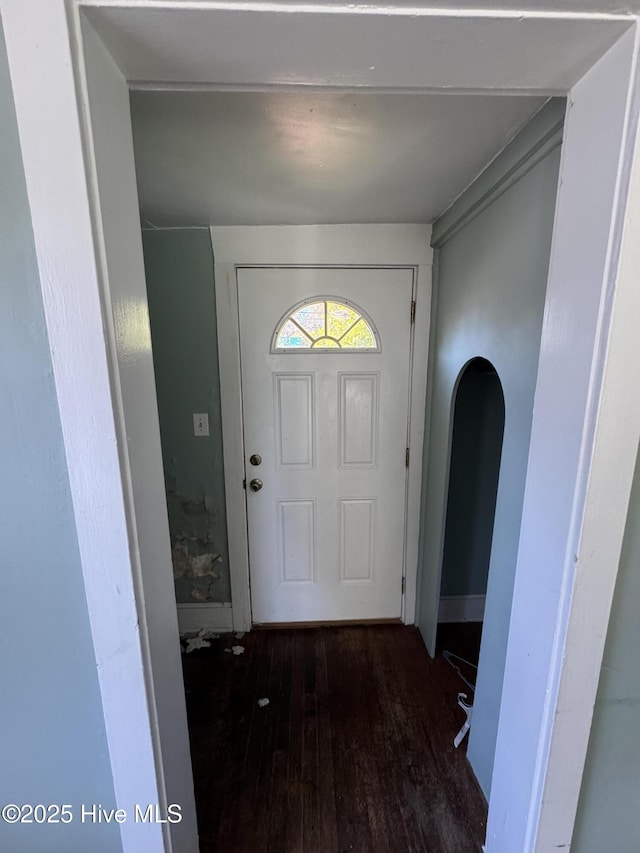 entryway with dark wood-type flooring