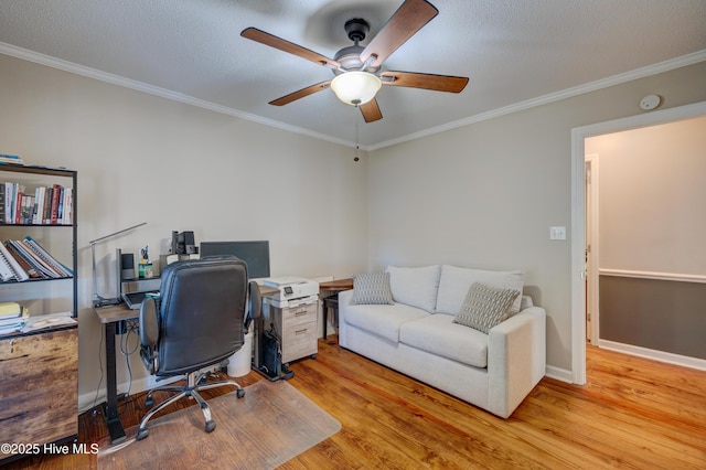 office with crown molding, ceiling fan, and light hardwood / wood-style flooring