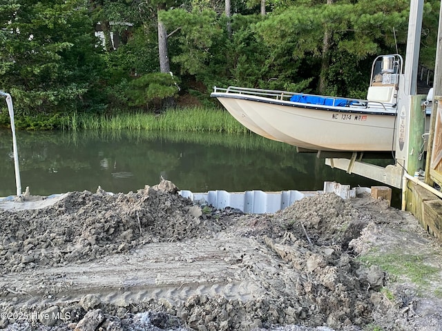 dock area with a water view