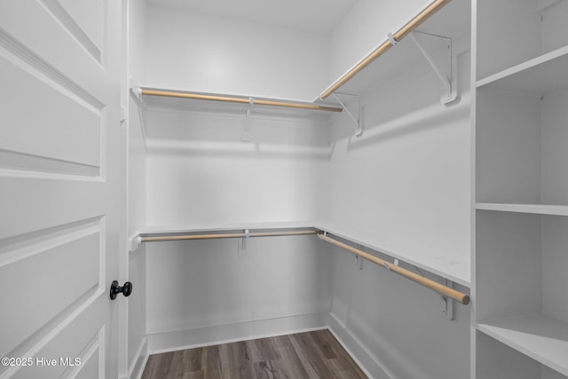 walk in closet with dark hardwood / wood-style flooring