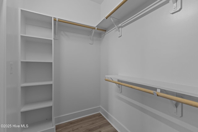 walk in closet featuring hardwood / wood-style floors